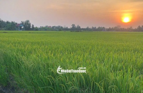 Bán đất nông nghiệp 5311m2 tại đường Bà Miêu, Tân Nhựt, Bình Chánh