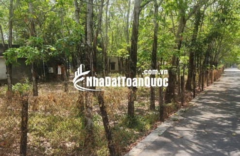 CẦN BÁN QUỸ ĐẤT LỚN 3 MẶT TIỀN NGAY SAU LƯNG CHỢ ĐỊNH HIỆP – DẦU TIẾNG