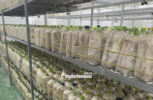 BÁN ĐẤ-  TẶNG XƯỞNG NẤM - PIN NĂNG LƯỢNG MẶT TRỜI MẶT TIỀN KINH DOANH - TẠI CỦ CHI - NGANG 18M - 2300M2 - GIÁ 12 TỶ TL