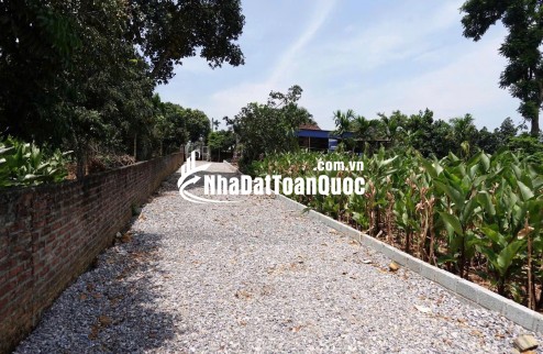 Mảnh đất nghỉ dưỡng view hồ còn sót lại tại Đầm Sản, Ba Vì, Hà Nội (xã Minh Quang cũ)