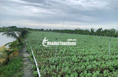 Cần vốn kinh doanh, bán 2 lô đất liền kề thu hồi vốn Bình Ân