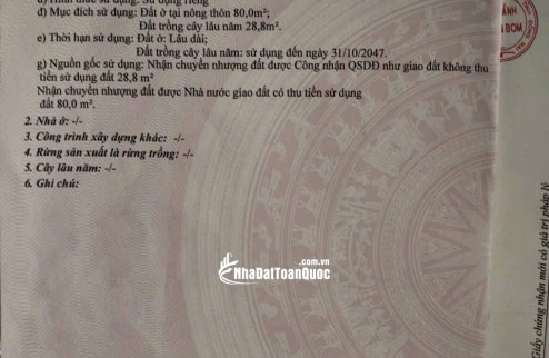 Đất Nền Thổ Cư An VIễn Trảng Bom Đồng Nai
