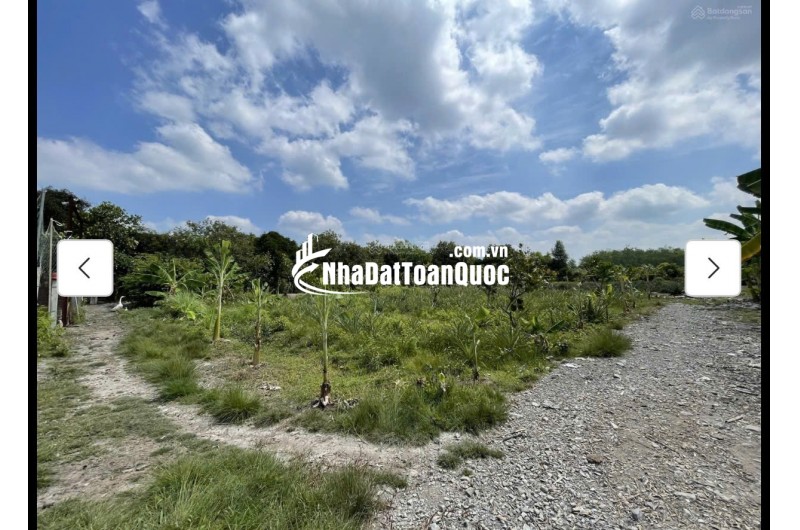 Cho thuê đất MT đường 7m rộng 1 mẫu tại ĐS 812, Xã Phú Mỹ Hưng, Củ Chi