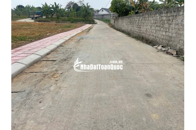 Bán Đất Thôn Cổng Sau, Hướng Đạo, khu công nghiệp Tam Dương 1, Vĩnh Phúc 100m, 800 triệu, xây nhà trọ, nhà ở.