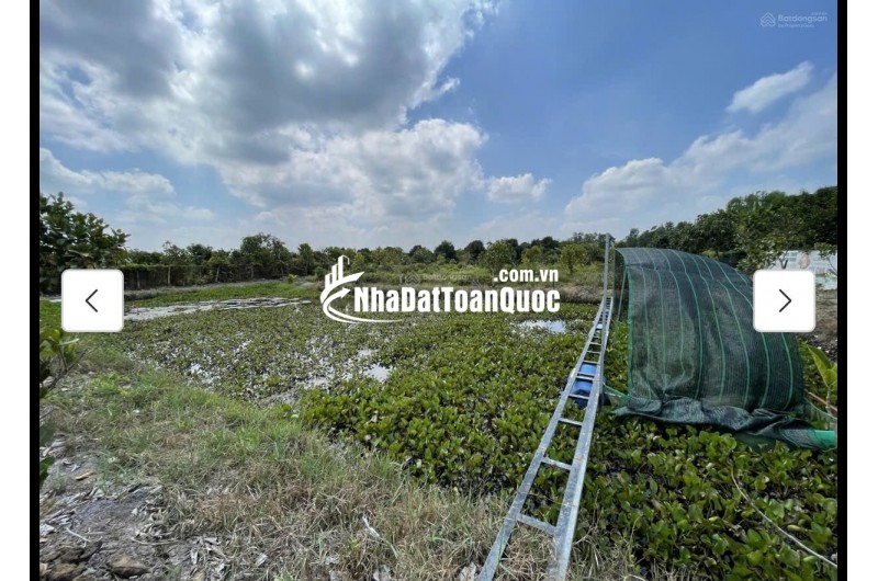 Cho thuê đất MT đường 7m rộng 1 mẫu tại ĐS 812, Xã Phú Mỹ Hưng, Củ Chi