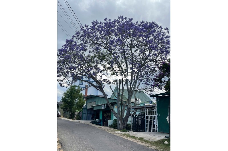 CẦN BÁN ĐẤT ĐẸP VUÔNG VỨC GẦN KHU LIÊN HỢP THỂ THAO– ĐƯỜNG CAO BÁ QUÁT  – P6 CŨ – ĐÀ LẠT GIÁ ĐANG GIẢM MẠNH