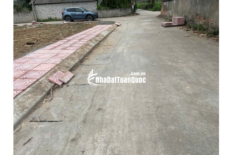 Bán Đất Thôn Cổng Sau, Hướng Đạo, khu công nghiệp Tam Dương 1, Vĩnh Phúc 100m, 800 triệu, xây nhà trọ, nhà ở.