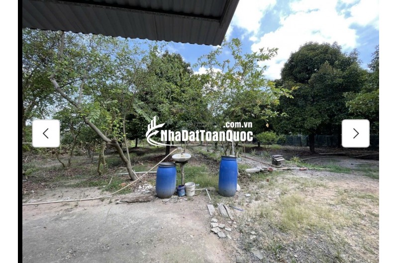 Cho thuê đất MT đường 7m rộng 1 mẫu tại ĐS 812, Xã Phú Mỹ Hưng, Củ Chi