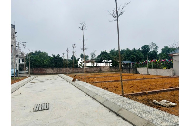 Bán lô  Phú Cát, tâm điểm hạ tầng đón sóng Hòa lạc