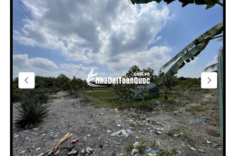 Cho thuê đất MT đường 7m rộng 1 mẫu tại ĐS 812, Xã Phú Mỹ Hưng, Củ Chi