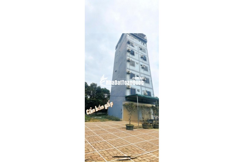 Bán đất chính chủ tại Xã Cổ Đông, Sơn Tây, Hà Nội, 30 triệu/m2, S= 100 m2 full thổ cư
