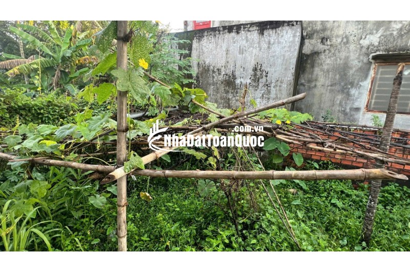 LÔ ĐẤT TIỀM NĂNG TẠI BÌNH NHÂM THUẬN AN. 10X15 SẴN SỔ, CHỈ 4.3TỶ. LH:0399058768