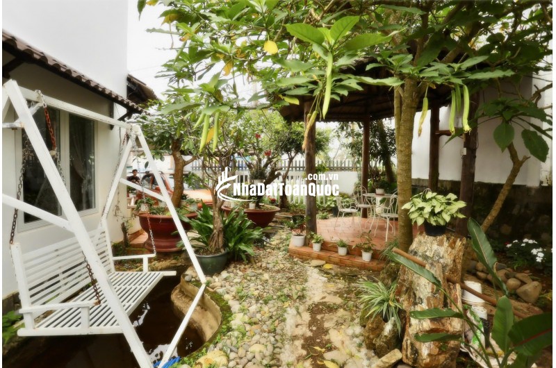 Cho thuê homestay 4 phòng đường Hoàng Hoa Thám phường 10 Đà Lạt giá 25 triệu