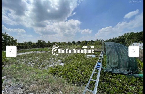 Cho thuê đất MT đường 7m rộng 1 mẫu tại ĐS 812, Xã Phú Mỹ Hưng, Củ Chi