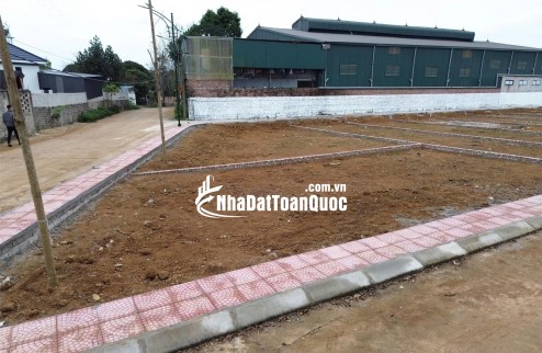 CẦN BÁN GẤP – LÔ ĐẤT VÀNG TRỤC CHÍNH TRẠI LÁNG – GẦN TOMODACHI LÀNG MÍT