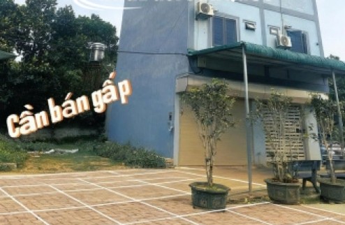 Bán đất chính chủ tại Xã Cổ Đông, Sơn Tây, Hà Nội, 30 triệu/m2, S= 100 m2 full thổ cư