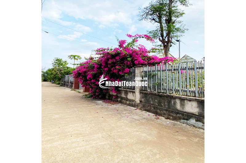 ĐẤT NỀN THỌ TÂN – P XUÂN LỘC – ĐN. GIÁ CHỈ 490Tr. 100% OĐT