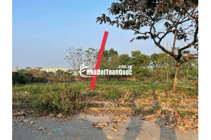100m2 Tái Định Cư Vai Réo, giá cắt lỗ