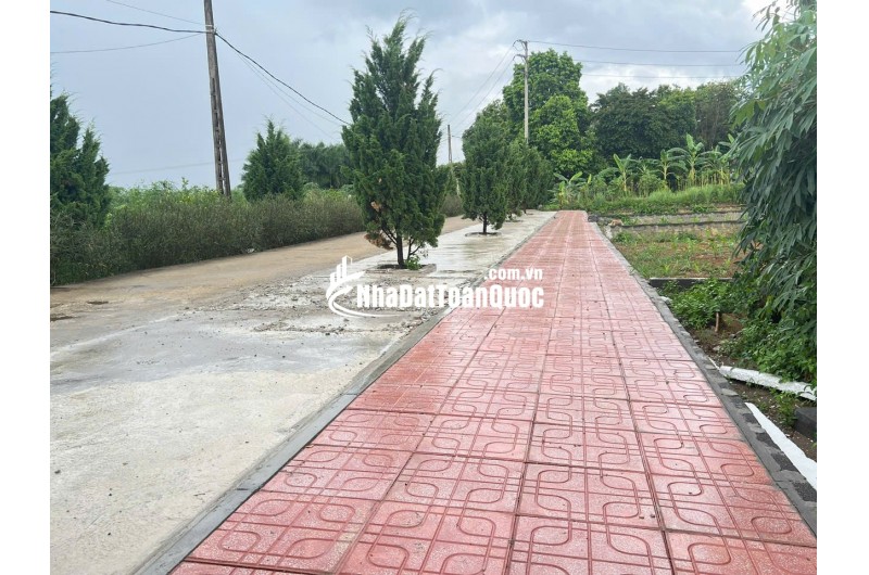 Bán mảnh đất( 8x15 )120m2 full thổ cư. xã Phú Cát Hà Nội,Cách ql21 150m, cạnh trường đại học công nghệ
