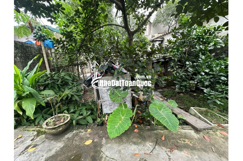Chỉ #2,3 tỷ có ngay 1 lô tại Thôn Đoài, Việt Hùng, Đông Anh. 52m2
