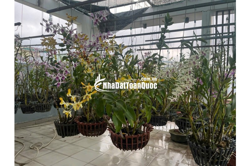 Bán nhà đúc 2,5 tấm hẻm 142 đường số 339 P. Phước Long B, Q9 cũ
