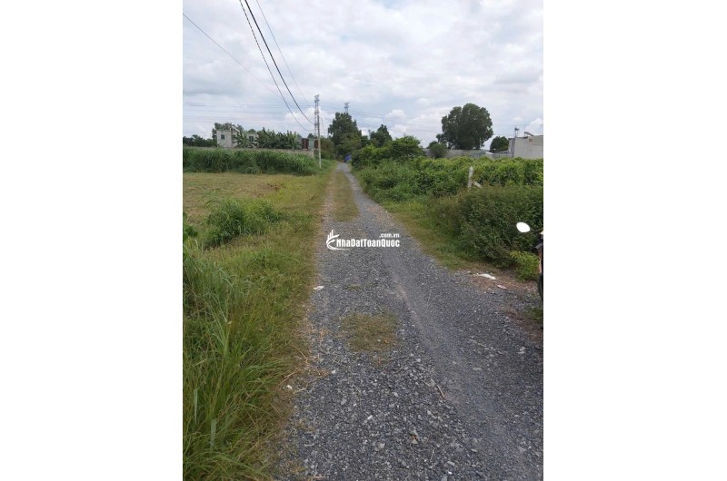 ĐẤT ĐẸP – GIÁ TỐT – CHÍNH CHỦ CẦN BÁN ĐẤT Tại Đường 130,  Xã Tân Thạnh Đông, Củ Chi, Hồ Chí Minh
