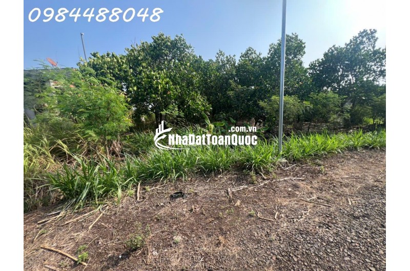 Bán vườn 3216m2, Xuân Phú, Xuân Lộc. Đồng Nai. Giá 1,8 ty. Lh 0984488048.