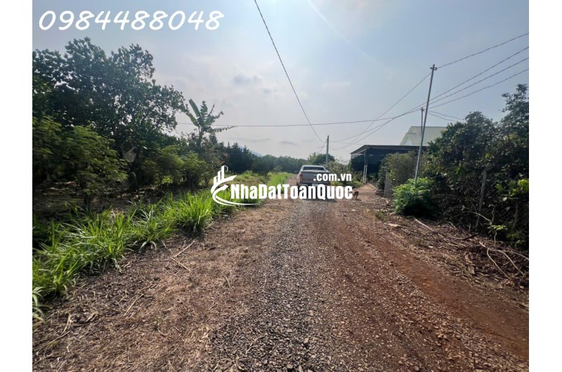 Bán vườn 3216m2, Xuân Phú, Xuân Lộc. Đồng Nai. Giá 1,8 ty. Lh 0984488048.