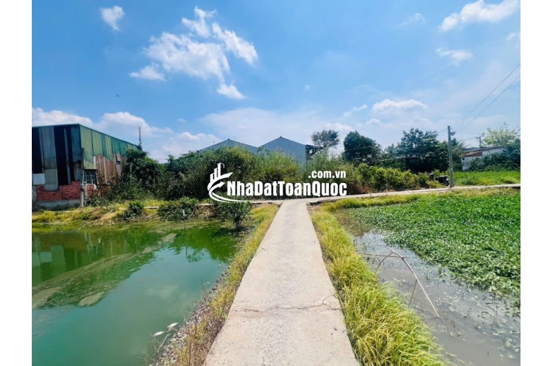 CHỦ ĐẤT CẦN BÁN  GẤP 2 MIẾNG ĐẤT BÌNH CHÁNH ẤP 3 TÂN QÚI TÂY. LH:0909304773.