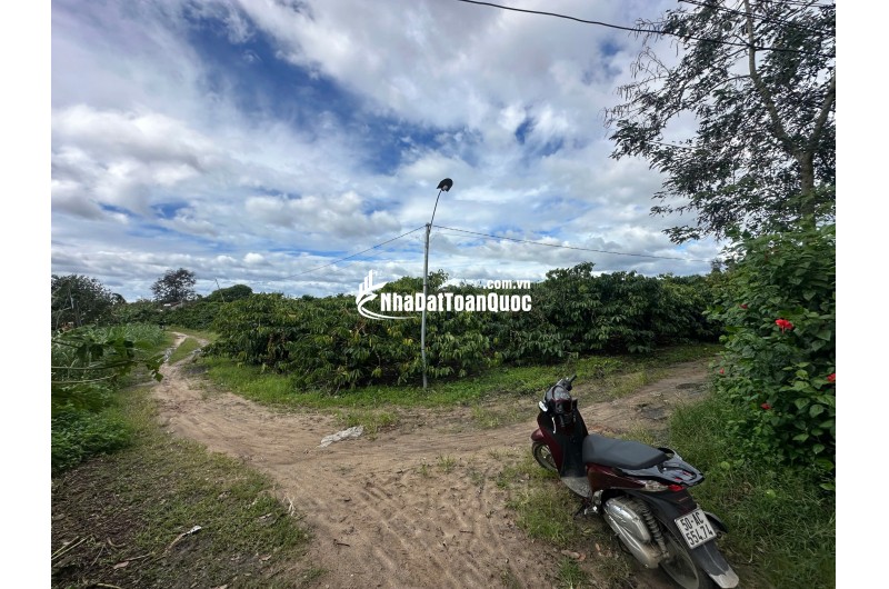  Kon Tum: Cơ hội vàng cho nhà đầu tư giữ tiền! Đất đẹp đường Nguyễn Bỉnh Khiêm, TP. Kon Tum.