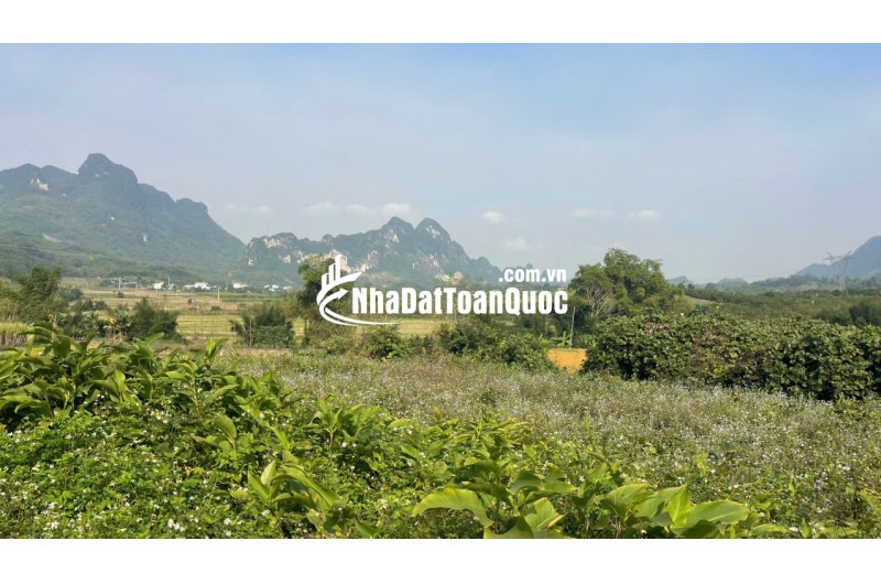 Đất Cao Phong Giá SỐC Chỉ Dưới 1 Triệu/m² Sở Hữu 6000m² View Cánh Đồng cách QL6 chưa đến 1km