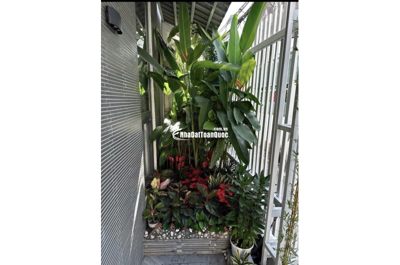 TIN CHÍNH CHỦ - BÁN NHÀ Q11 NGAY CV ĐẦM SEN – 65.2M2 - SHR - 6.05 TỶ. LH:0812946629