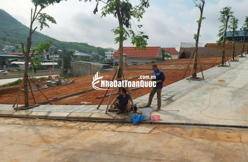  ĐẤT GIÁP VIN HẠ LONG XANH GIÁ 35TR/M² – CÒN RẺ HƠN NHIỀU SO VỚI GIÁ TRỊ THỰC?