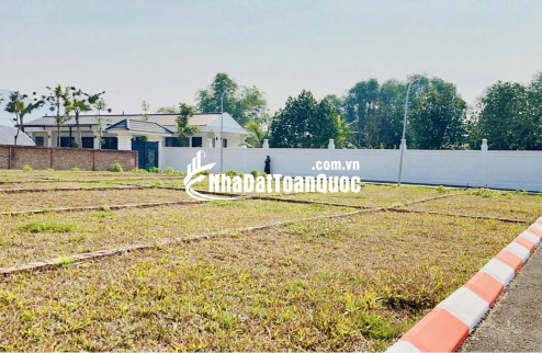 ĐẤT GẦN KCN BA HÀNG ĐỒI – CHỈ 3XX TRIỆU – MUA LÀ KHAI THÁC NGAY – DÒNG TIỀN ỔN ĐỊNH