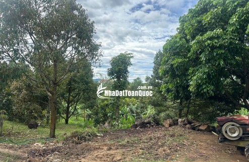 Cơ hội hiếm có: 472m² full thổ cư ngay trung tâm Đắk Mar!
