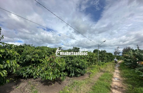 Đắc địa ngay mặt tiền Tô Hiến Thành, xã Đăk Hà . Khu vực đang lên, tiềm năng tăng giá cực khủng.