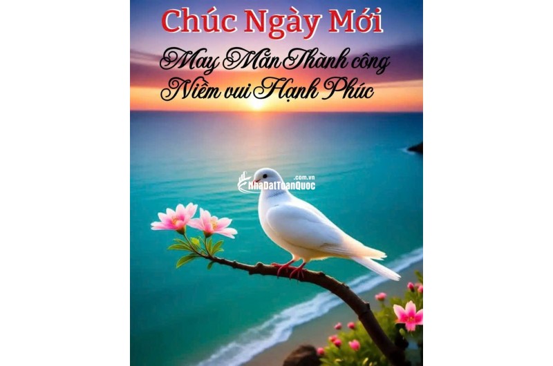 BÁN 500M ĐẤT TẠI CẦN THƠ, CÓ KHO SẲN BAO QUANH ĐẤT, MẶT TIỀN 27M, MẶT LỘ NHỰA 18M. LH:0798441899