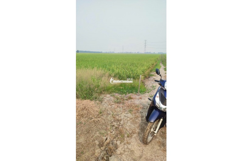 BÁN ĐẤT TÂN THẠNH, LONG AN – TDT 44000 M2 – SHR - 15 TỶ. LH:0989327777 - MR.QUỐC