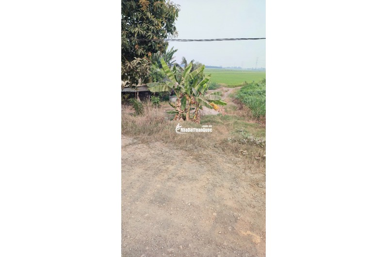 BÁN ĐẤT TÂN THẠNH, LONG AN – TDT 44000 M2 – SHR - 15 TỶ. LH:0989327777 - MR.QUỐC