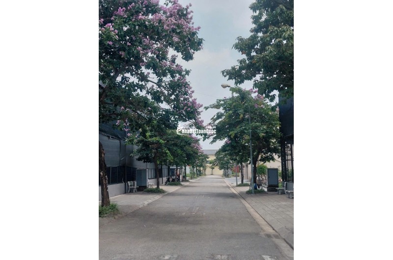 Bán Đất 250m2 Khu C - Khu đô thị Nguyên Khê - Đông Anh - Hà Nội. Giá 105tr/m2