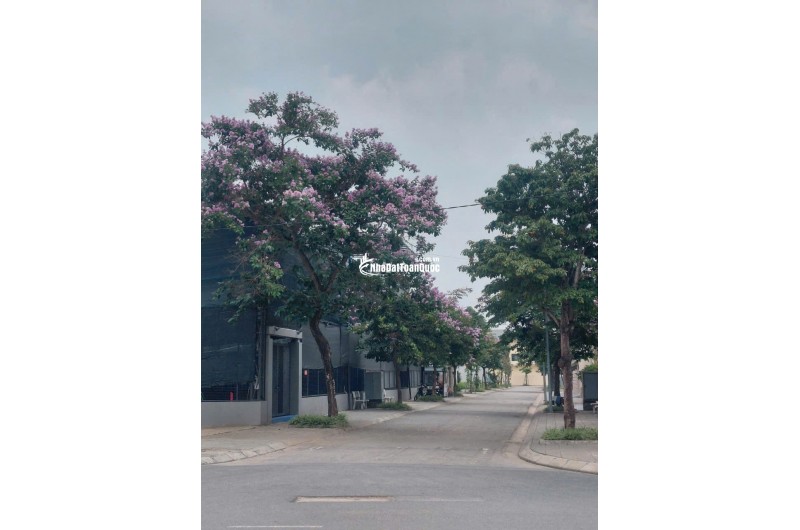 Bán Đất 250m2 Khu C - Khu đô thị Nguyên Khê - Đông Anh - Hà Nội. Giá 105tr/m2