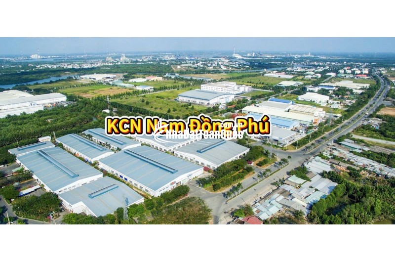 BÁN ĐẤT TÂN LỢI ĐỒNG PHÚ - FULL THỔ CƯ - SHR - GIÁ CHỈ 350TR/LÔ. LH:0363082064.