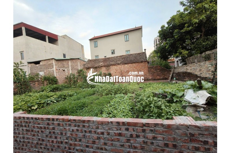 Đất không sổ, nằm trong dân, 180m2, mt15m, 2,65  tỷ, Thụy Lâm, Đông Anh.