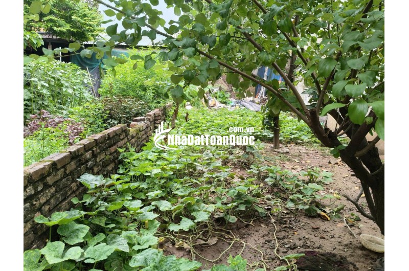 Chân cầu Nhật Tân, 80m2, mt5m, ô tô thông, 11.x tỷ. Đông Anh.