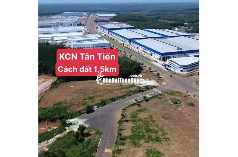 BÁN ĐẤT TÂN LỢI ĐỒNG PHÚ - FULL THỔ CƯ - SHR - GIÁ CHỈ 350TR/LÔ. LH:0363082064.