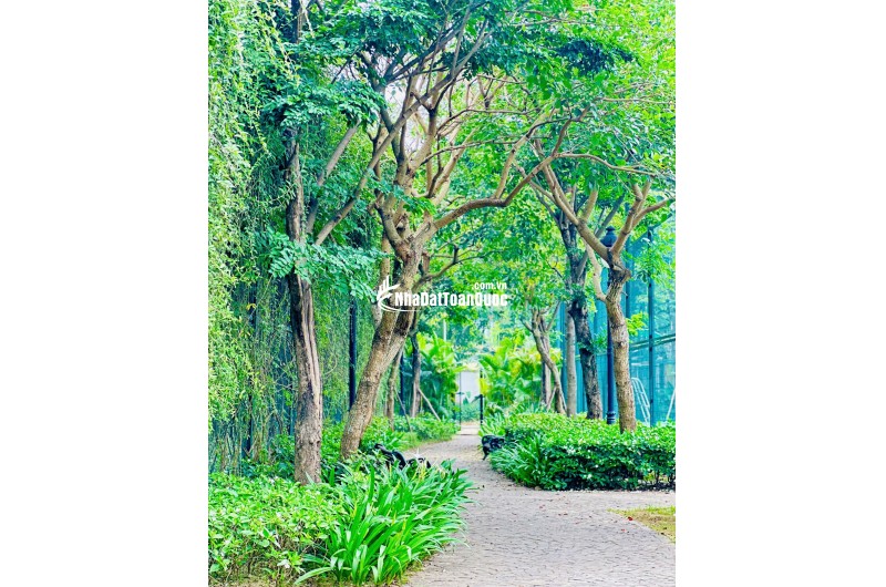  LIỀN KỀ CEOHOMES HANA GARDEN – KHÔNG GIAN SỐNG ĐA NĂNG, KHAI THÁC LINH HOẠT