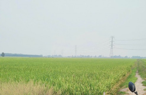 BÁN ĐẤT TÂN THẠNH, LONG AN – TDT 44000 M2 – SHR - 15 TỶ. LH:0989327777 - MR.QUỐC