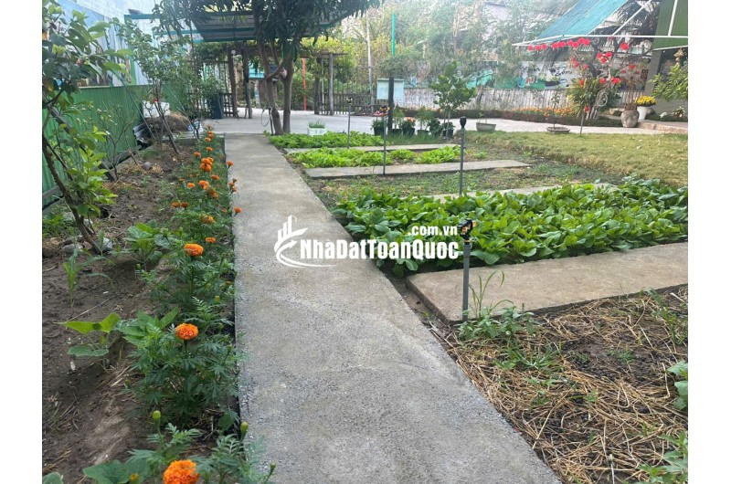 BÁN TRƯỜNG MẦN NON THÔN GÒ SẠN, XÃ BẮC PHONG, HUYỆN THUẬN BẮC. LH:0906000199.