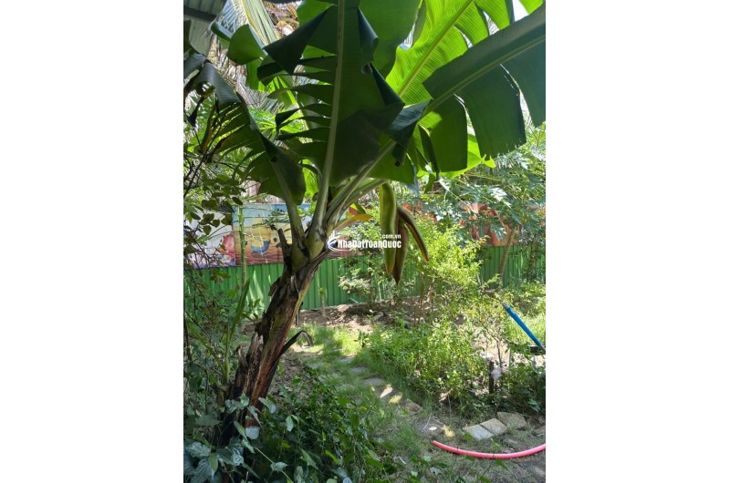 BÁN TRƯỜNG MẦN NON THÔN GÒ SẠN, XÃ BẮC PHONG, HUYỆN THUẬN BẮC. LH:0906000199.