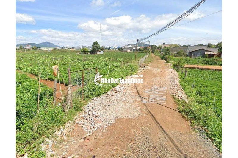 Bán Đất 369m²  5 tỷ Gần TT Hành Chính Đức Trọng, Lâm Đồng - Sổ Riêng